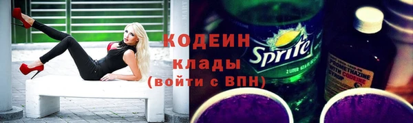 хмурый Алзамай