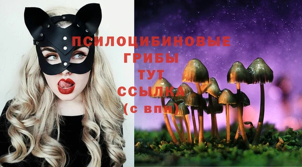 хмурый Алзамай