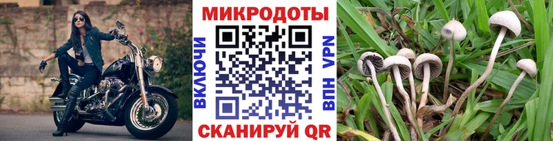 Галлюциногенные грибы Psilocybine cubensis Гусь-Хрустальный
