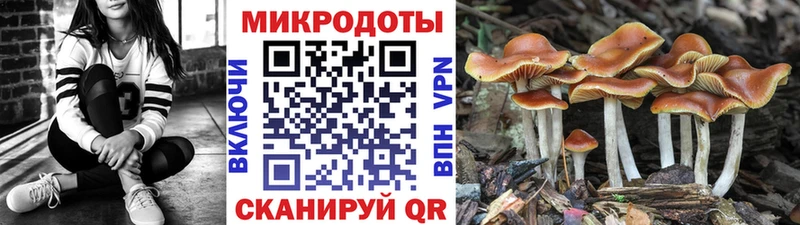 Псилоцибиновые грибы Psilocybine cubensis  сайты даркнета клад  Гусь-Хрустальный 