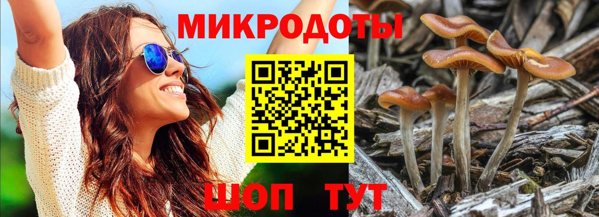 Гусь-Хрустальный  Галлюциногенные грибы Psilocybe  Псилоцибиновые грибы GOLDEN TEACHER  цена наркотик  Вход с VPN 