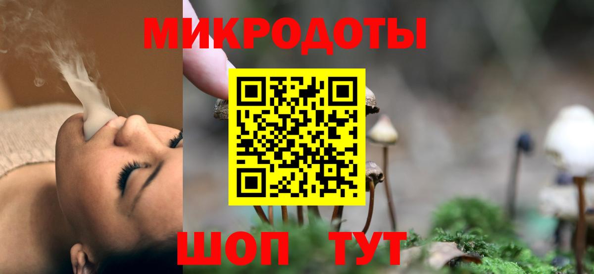 Галлюциногенные грибы мицелий Гусь-Хрустальный